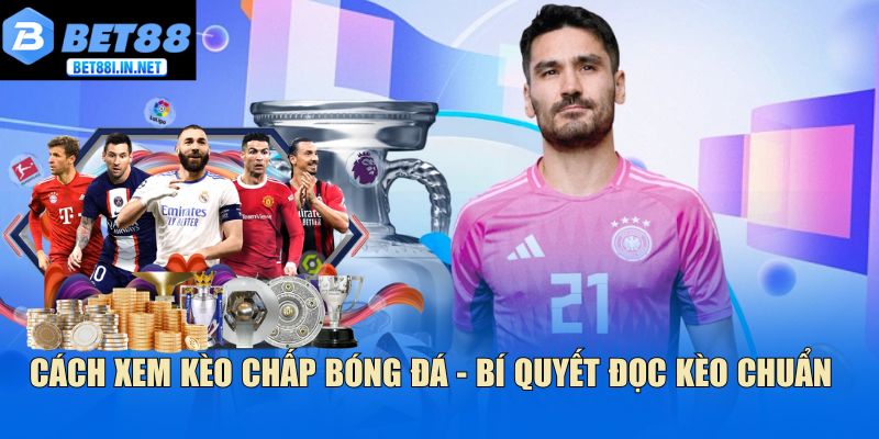 Cách xem kèo chấp bóng đá - Bí quyết đọc kèo chuẩn 1 Cách xem kèo chấp bóng đá